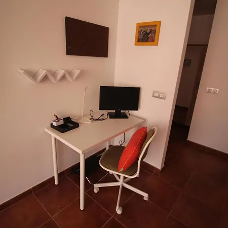 Dharma * 코라레호